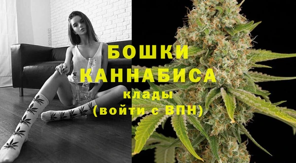 мет Карпинск