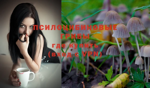 Альфа ПВП Касимов