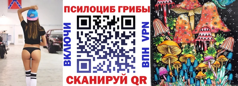 Купить где  Нижняя Салда  Галлюциногенные грибы Magic Shrooms 